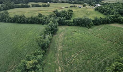 Photo #24 of 3111 SEMINOLE TRL, MADISON, VA 115.8 acres