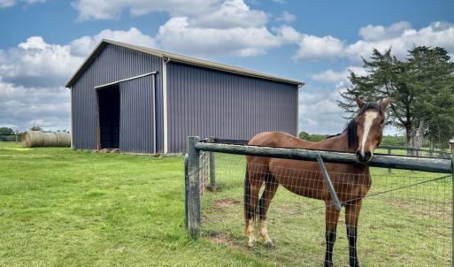 Photo #6 of 3111 SEMINOLE TRL, MADISON, VA 115.8 acres