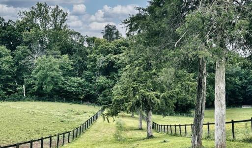 Photo #20 of 3111 SEMINOLE TRL, MADISON, VA 115.8 acres