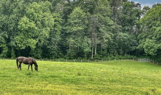 Photo #21 of 3111 SEMINOLE TRL, MADISON, VA 115.8 acres