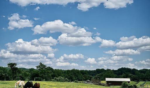 Photo #14 of 3111 SEMINOLE TRL, MADISON, VA 115.8 acres