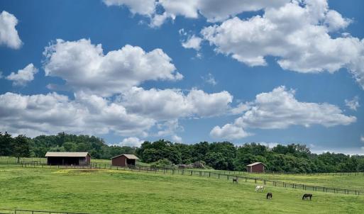 Photo #17 of 3111 SEMINOLE TRL, MADISON, VA 115.8 acres
