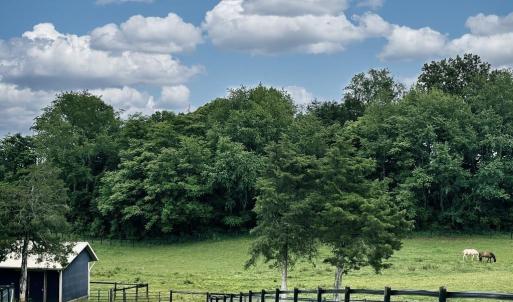 Photo #19 of 3111 SEMINOLE TRL, MADISON, VA 115.8 acres