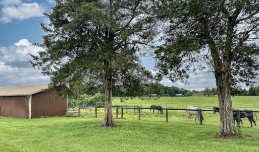 Photo #9 of 3111 SEMINOLE TRL, MADISON, VA 115.8 acres