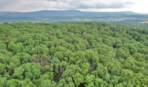 Photo #5 of INDIAN RIDGE LN, ROCKINGHAM, VA 15.7 acres