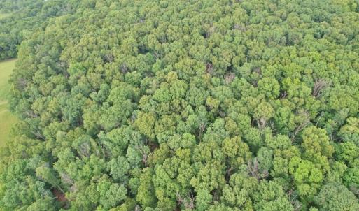 Photo #17 of INDIAN RIDGE LN, ROCKINGHAM, VA 15.7 acres