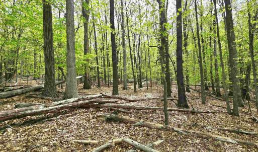 Photo #11 of INDIAN RIDGE LN, ROCKINGHAM, VA 15.7 acres