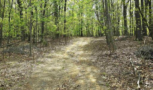 Photo #15 of INDIAN RIDGE LN, ROCKINGHAM, VA 15.7 acres