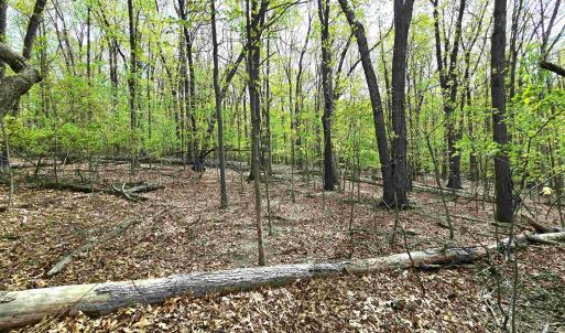 Photo #13 of INDIAN RIDGE LN, ROCKINGHAM, VA 15.7 acres
