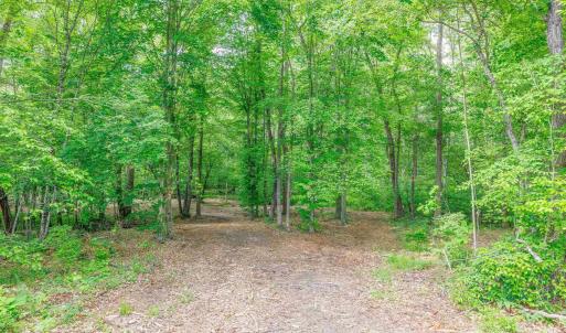 Photo #19 of LOT 2 SHARPS CREEK RD, SCOTTSVILLE, VA 65.9 acres