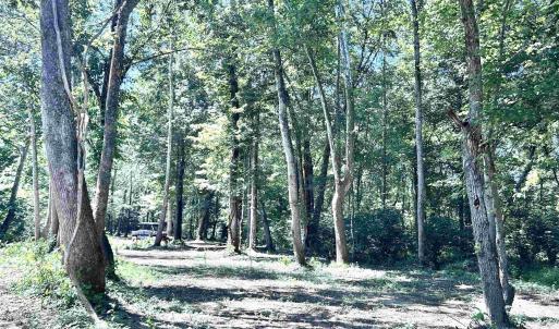Photo #42 of LOT 2 SHARPS CREEK RD, SCOTTSVILLE, VA 65.9 acres