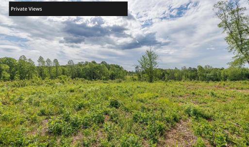 Photo #17 of LOT 2 SHARPS CREEK RD, SCOTTSVILLE, VA 65.9 acres