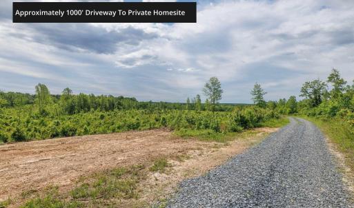 Photo #14 of LOT 2 SHARPS CREEK RD, SCOTTSVILLE, VA 65.9 acres