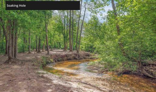 Photo #2 of LOT 2 SHARPS CREEK RD, SCOTTSVILLE, VA 65.9 acres