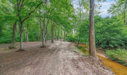Photo #20 of LOT 2 SHARPS CREEK RD, SCOTTSVILLE, VA 65.9 acres