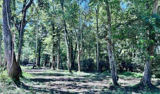 Photo #41 of LOT 2 SHARPS CREEK RD, SCOTTSVILLE, VA 65.9 acres
