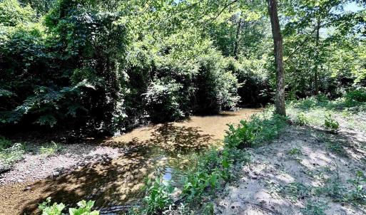 Photo #39 of LOT 2 SHARPS CREEK RD, SCOTTSVILLE, VA 65.9 acres