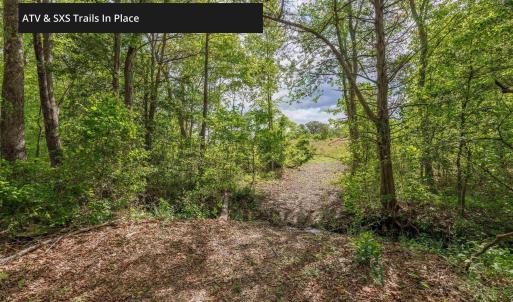 Photo #21 of LOT 2 SHARPS CREEK RD, SCOTTSVILLE, VA 65.9 acres