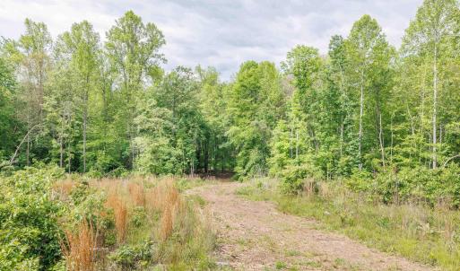 Photo #18 of LOT 2 SHARPS CREEK RD, SCOTTSVILLE, VA 65.9 acres