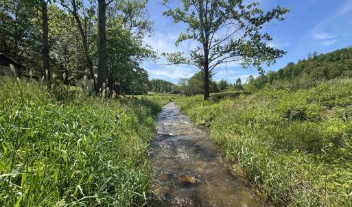 Photo #36 of 91 KIDD LN, ROSELAND, VA 54.3 acres