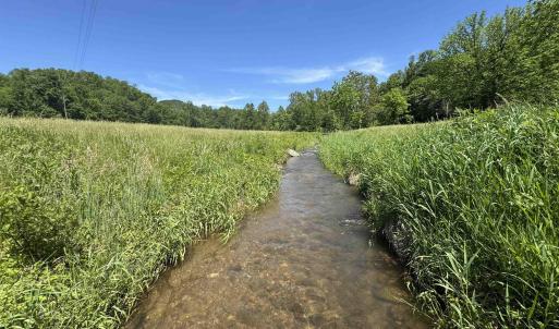 Photo #37 of 91 KIDD LN, ROSELAND, VA 54.3 acres