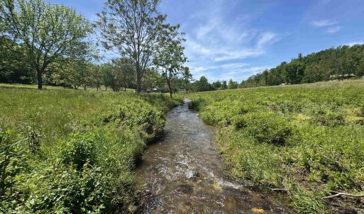 Photo #2 of 91 KIDD LN, ROSELAND, VA 54.3 acres