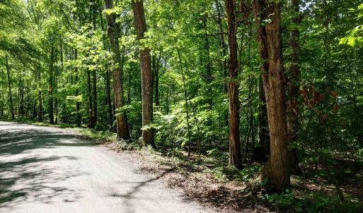 Photo #2 of LOT E LINK EVANS LN, EARLYSVILLE, VA 5.2 acres