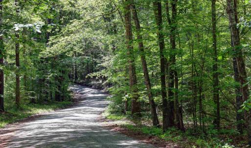 Photo #3 of LOT E LINK EVANS LN, EARLYSVILLE, VA 5.2 acres