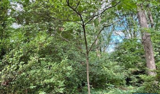 Photo #6 of 1426 DAIRY RD, CHARLOTTESVILLE, VA 0.5 acres
