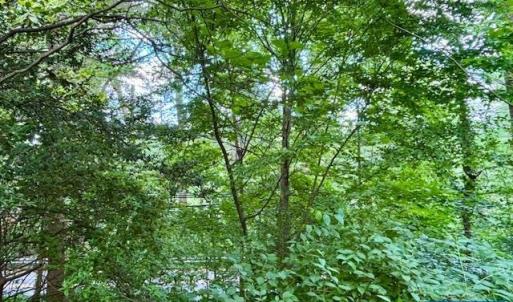 Photo #5 of 1426 DAIRY RD, CHARLOTTESVILLE, VA 0.5 acres