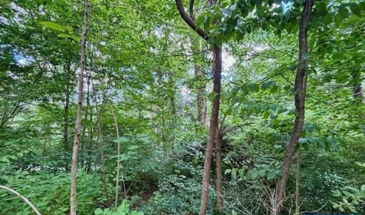 Photo #4 of 1426 DAIRY RD, CHARLOTTESVILLE, VA 0.5 acres
