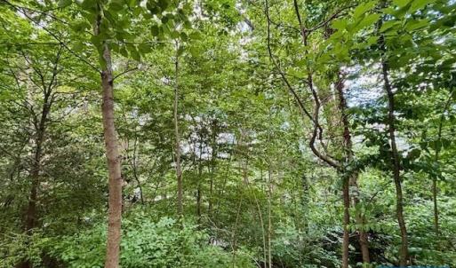 Photo #2 of 1426 DAIRY RD, CHARLOTTESVILLE, VA 0.5 acres