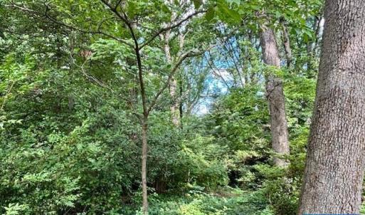 Photo #7 of 1426 DAIRY RD, CHARLOTTESVILLE, VA 0.5 acres