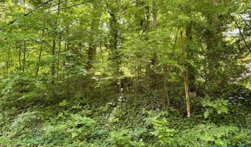 Photo #1 of 1426 DAIRY RD, CHARLOTTESVILLE, VA 0.5 acres