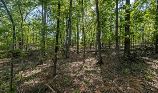 Photo #2 of Lot 10 ADVANCE MILLS RD, RUCKERSVILLE, VA 3.6 acres