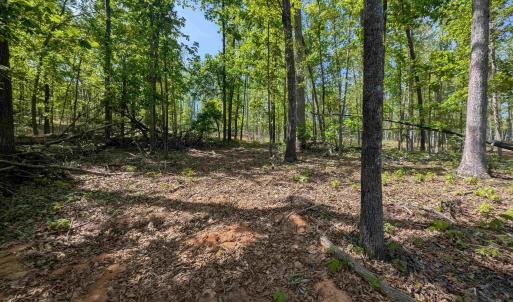 Photo #3 of Lot 10 ADVANCE MILLS RD, RUCKERSVILLE, VA 3.6 acres