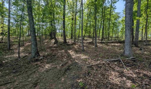 Photo #4 of Lot 10 ADVANCE MILLS RD, RUCKERSVILLE, VA 3.6 acres