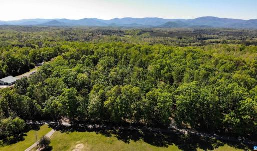 Photo #10 of Lot 10 ADVANCE MILLS RD, RUCKERSVILLE, VA 3.6 acres