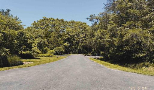 Photo #4 of 99 BLUE CHICKORY CT, NELLYSFORD, VA 1.1 acres