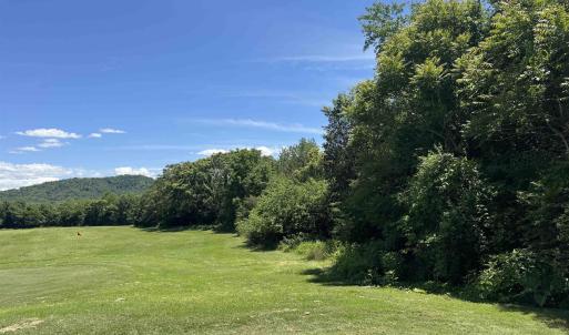 Photo #8 of 99 BLUE CHICKORY CT, NELLYSFORD, VA 1.1 acres