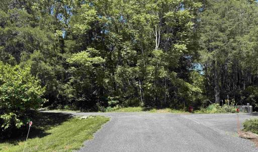 Photo #9 of 99 BLUE CHICKORY CT, NELLYSFORD, VA 1.1 acres