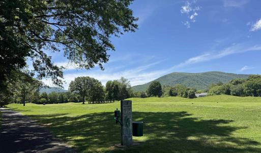 Photo #11 of 99 BLUE CHICKORY CT, NELLYSFORD, VA 1.1 acres