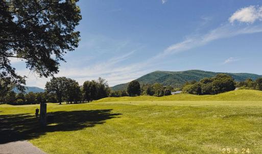 Photo #1 of 99 BLUE CHICKORY CT, NELLYSFORD, VA 1.1 acres