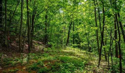 Photo #3 of HELMS RD, STANLEY, VA 1.2 acres