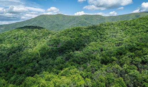 Photo #13 of HELMS RD, STANLEY, VA 1.2 acres