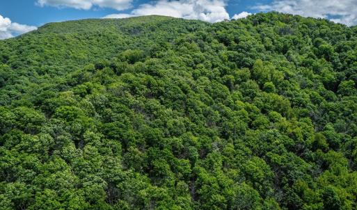 Photo #12 of HELMS RD, STANLEY, VA 1.2 acres