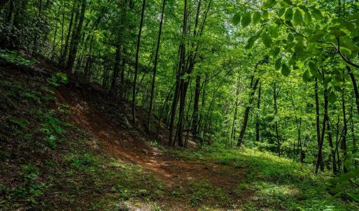 Photo #5 of HELMS RD, STANLEY, VA 1.2 acres