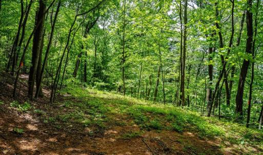 Photo #4 of HELMS RD, STANLEY, VA 1.2 acres