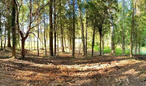 Photo #8 of TBD PECAN LN, CARDINAL, VA 10.2 acres