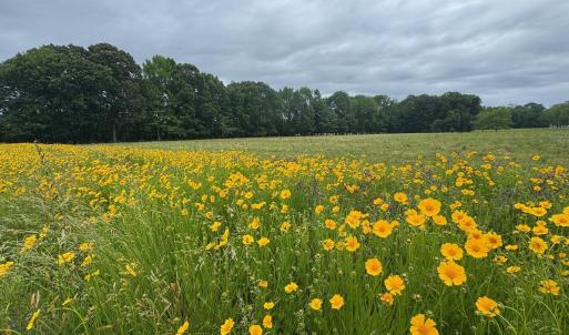 Photo #11 of TBD PECAN LN, CARDINAL, VA 10.2 acres